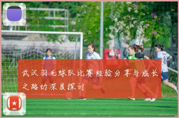 武汉羽毛球队比赛经验分享与成长之路的深度探讨
