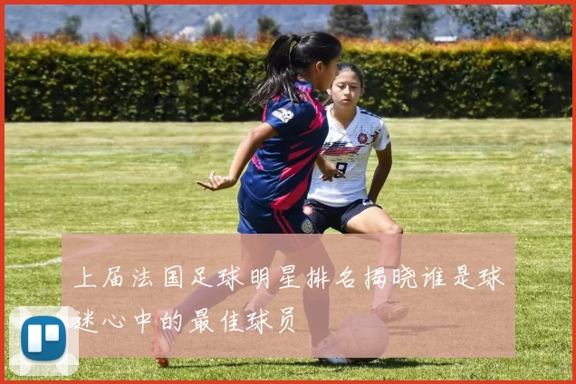 上届法国足球明星排名揭晓谁是球迷心中的最佳球员