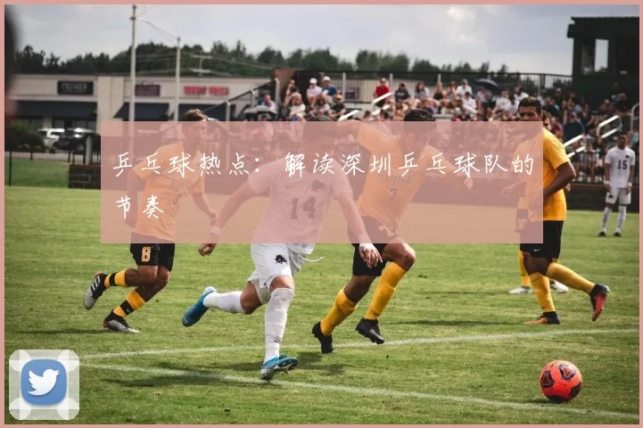 乒乓球热点：解读深圳乒乓球队的节奏