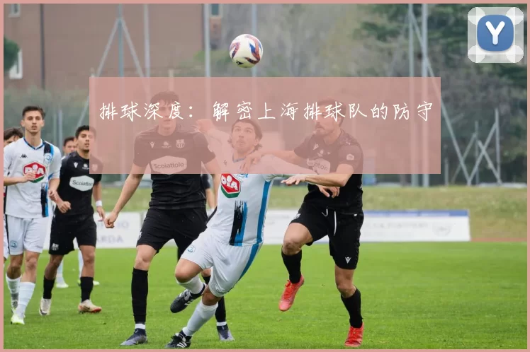 排球深度：解密上海排球队的防守